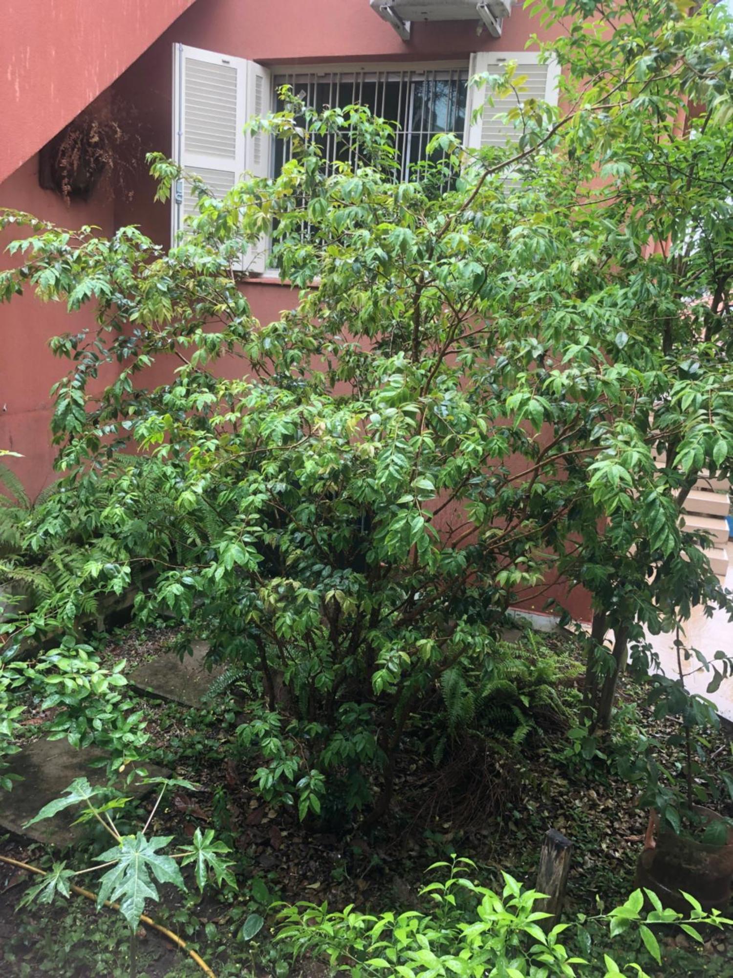 Hostel Martina, Suite 100M Spexpo São Paulo Eksteriør bilde